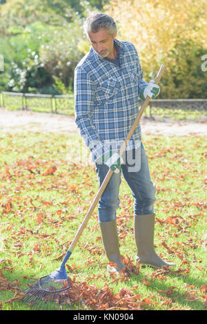 Uomo a rastrellare foglie Foto Stock