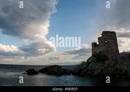 Corsica: Mare Mediterraneo e la Tour d'Erbalunga, rovinata torre genovese in comune di Brando (Haute-Corse) sulla costa orientale di Cap Corse Foto Stock