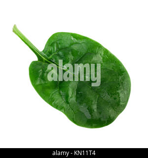 Gli spinaci in foglia. Un fresco verde Spinaci foglia isolati su sfondo bianco Foto Stock