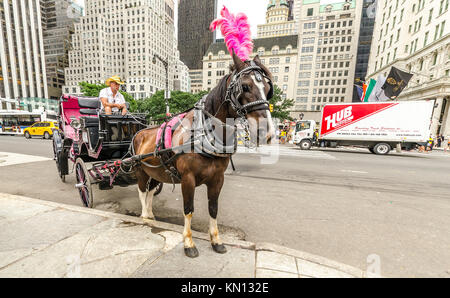 NEW YORK - Lug 17: carro trainato da cavalli in Grand Army Plaza New York il 17 luglio 2014. Grand Army Plaza si trova all'intersezione di Central Park South e Foto Stock