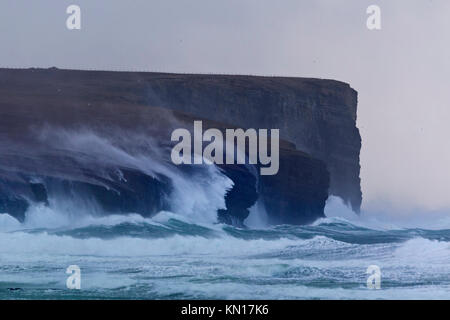 Il mare in tempesta a Marwick Testa, Orkney Foto Stock