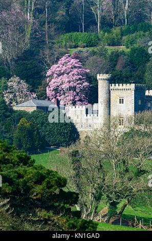 Caerhays Castle e giardini in Cornovaglia, Inghilterra, Regno Unito. Foto Stock