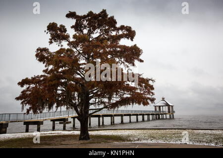 Mandeville, Louisiana, Stati Uniti. 8 dicembre 2017. La neve cade sulla riva del lago Pontchartrain nel Fontainebleau State Park. Un mix invernale di precipitazioni è caduto in diversi stati del profondo Sud causando la chiusura di molte aziende e scuole. Crediti: Julie Dermansky/ZUMA Wire/Alamy Live News Foto Stock