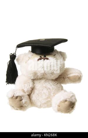 Peluche laurea cheap