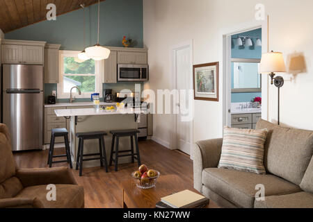 Cucina e grande stanza in appartamento con dipinti a muro di accento, Pennsylvania, STATI UNITI D'AMERICA, Foto Stock