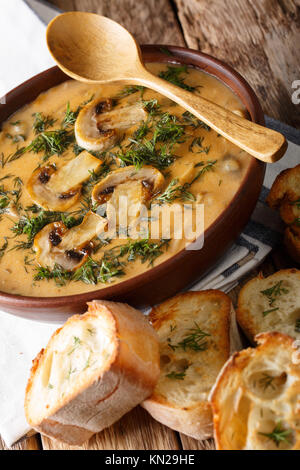 Spessore ungherese zuppa di funghi con aneto fresco closeup su una tavola verticale. Foto Stock