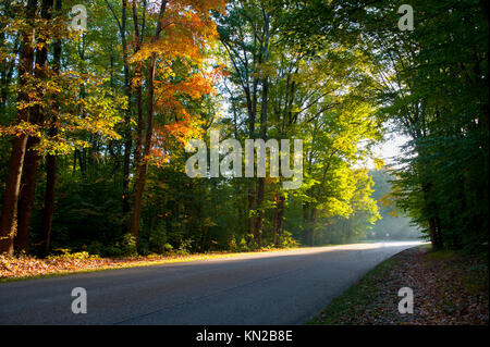 Stati Uniti Virginia Triangolo Storico Colonial Parkway Autunno Autunno vicino a Williamsburg VA Foto Stock