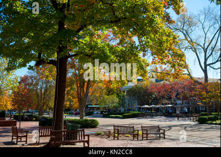 Stati Uniti Virginia VA Colonial Williamsburg mercanti Piazza Duca di Gloucester Street Autunno Autunno Foto Stock