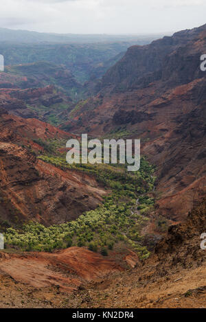 Pu'u Hinahina lookout offre una delle migliori viste nel Canyon di Waimea sulla Kauai, Hawaii Foto Stock