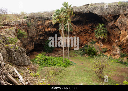 Una dolina espone l'ingresso alla grotta Makauwahi vicino a Poipu nella valle Māhāʻulepū vicino alla spiaggia Māhāʻulepū, Kauai, Hawaii Foto Stock