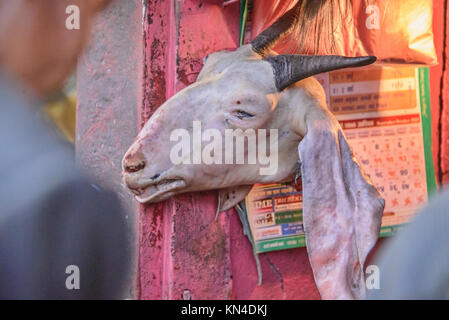 La testa di capra appesi durante il Dasain holiday, Kathmandu, Nepal Foto Stock