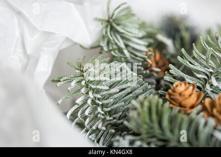 Natura, crescendo, decorazioni floreali concetto. close up di rami freschi di conifera albero con poco pigne nelle quali nascosti tra di loro, sono congelati e avvolti in carta bianca Foto Stock