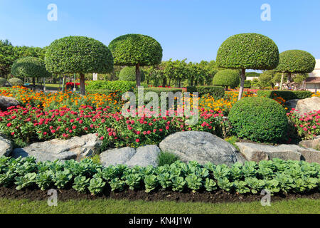 Bella struttura nana e aiuola di fiori nel giardino Foto Stock