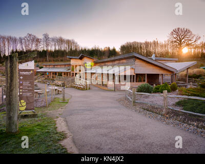 Il caffè e il centro visitatori presso il Bedgebury National Pinetum and Forest al confine tra Sussex e Kent. Foto Stock