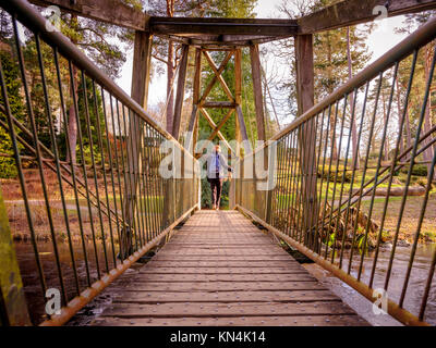 Il ponte sul lago di Marshall al Bedgebury National Pinetum e Forest al confine tra Sussex e Kent. Foto Stock