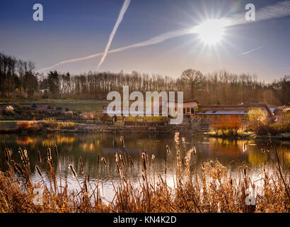 Il caffè e il centro visitatori presso il Bedgebury National Pinetum and Forest al confine tra Sussex e Kent. Foto Stock