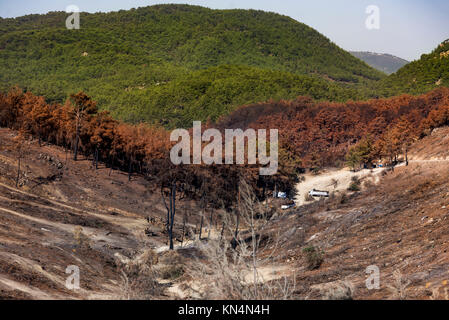 Purtroppo dopo un incendio di foresta di Izmir, Turchia. Foto Stock