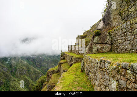 Verdi terrazzamenti agricoli di antica cittadella Inca sotto pesante velatura Foto Stock