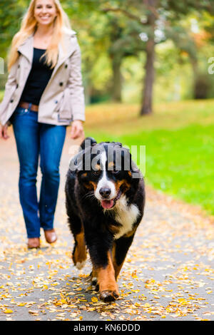 Donna e cane a recupero di gioco stick Foto Stock