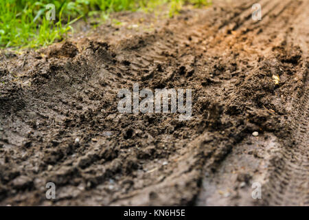 Tracce di pneumatici Forest Floor terreno percorso sporco Terra Natura all'aperto Foto Stock