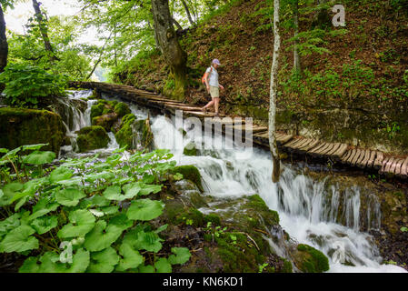 Il Parco Nazionale dei Laghi di Plitvice, Croazia Foto Stock