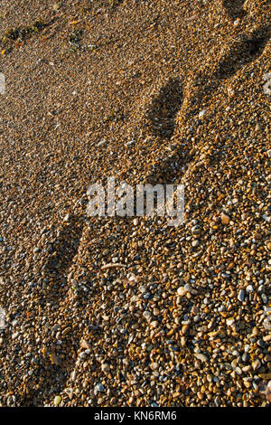 Impronte in una spiaggia di ciottoli shot in verticale Foto Stock