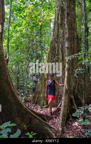 Nigeria - Marzo 22 2014: giovane donna in piedi accanto a pioggia gigantesco albero di foresta in Africa centrale Foto Stock