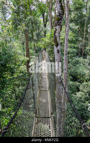 Struttura sospesa in alto o la tettoia a piedi nella foresta di pioggia della Nigeria Foto Stock