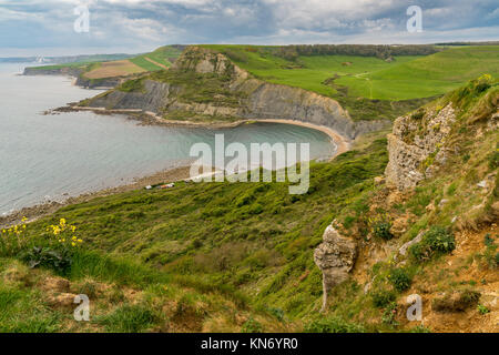 Vista da Emmett collina verso Chapman's Pool di South West Coast Path, Jurassic Coast, Dorset, Regno Unito Foto Stock