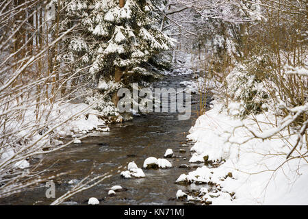 Piccolo fiume nella foresta di inverno in montagna Foto Stock