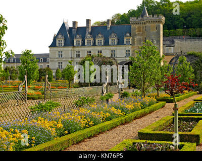 JARDINS du Chateau de VILLANDRY, Loire, Francia. Maggio 2012. Una parte del giardino cucina Villandry in primavera con il castello in background Foto Stock