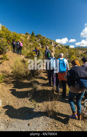 Ramblers escursioni presso il sentiero Mainalon, in Grecia. Foto Stock