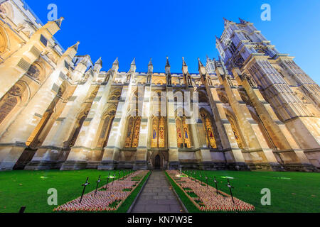 Londra, NOV 13: vista notturna della AWestminster Abbey con il veterano del giorno il Nov 13, 2015 a Londra, Regno Unito Foto Stock