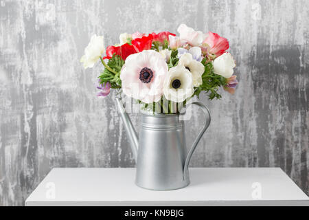 Fiori invernali. Anemoni in un vaso annaffiatoio in piedi su un tavolo di legno. Sullo sfondo il vecchio muro grigio art. spazio copia Foto Stock