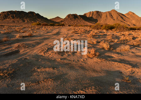 World's Tallest Ice Cream Stand Pahrump, Nevda, USA Foto Stock