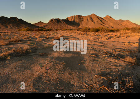 World's Tallest Ice Cream Stand Pahrump, Nevda, USA Foto Stock