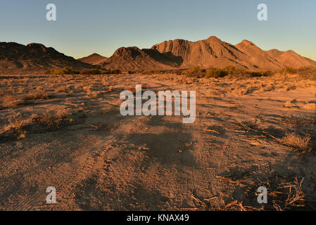 World's Tallest Ice Cream Stand Pahrump, Nevda, USA Foto Stock