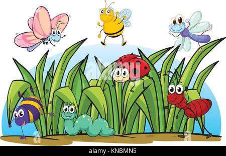 Illustrazione di vari insetti ed erba su sfondo bianco Illustrazione Vettoriale