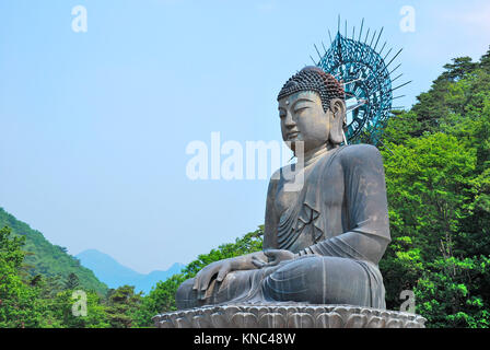 Vista della maestosa, bronzo statua del Buddha. Un simbolo di religione, di fede, di speranza e di pace. Foto Stock