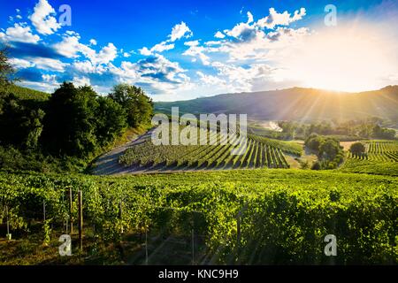 Tramonto spettacolare sopra il verde dei vigneti delle Langhe piemontesi, il cielo blu è pieno di suggestive nuvole.
