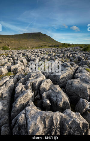 Ingleborough; dalle scale di Souther; Yorkshire; Regno Unito Foto Stock