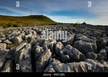 Ingleborough; dalle scale di Souther; Yorkshire; Regno Unito Foto Stock