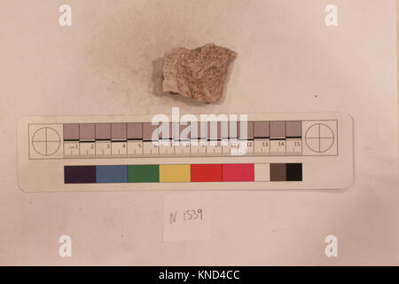 Il frammento LC-N1539-Back è un manufatto non identificato nella collezione MET, che rappresenta materiale culturale e storico conservato per lo studio e l'esposizione. Foto Stock