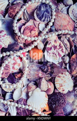 Mare splendido sfondo con colorate conchiglie di diverse forme e dimensioni ed elegante collana di perle in toni di viola Foto Stock