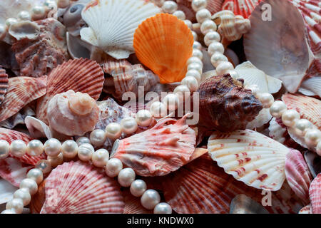 Mare splendido sfondo con colorate conchiglie di diverse forme e dimensioni ed elegante collana di perle in toni pastello Foto Stock