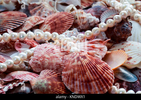 Mare splendido sfondo con colorate conchiglie di diverse forme e dimensioni ed elegante collana di perle in toni pastello Foto Stock