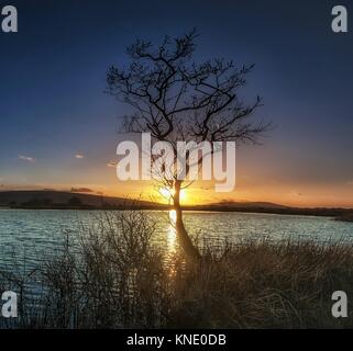 Tramonto all ampia piscina Foto Stock