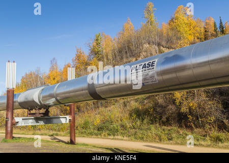 Il Trans-Alaska Pipeline System (TAPS) chiamato anche la pipeline Aleyska trasporta l'olio 800 miglia da Prudhoe Bay a Valdez in Alaska, STATI UNITI D'AMERICA Foto Stock