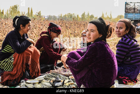 Raccoglitrici di cotone nella campagna di Khiva, Regione di Xorazm, Uzbekistan, Ottobre 28, 2017 © Credito Jacopo Casaro/Sintesi/Alamy Stock Photo Foto Stock