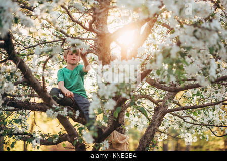 Ragazzo salendo ad un albero di mele Foto Stock